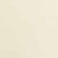 Blanc (RAL 9010)