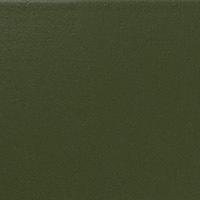 Vert olive (RAL 6003)