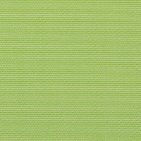 Mint (Latim)